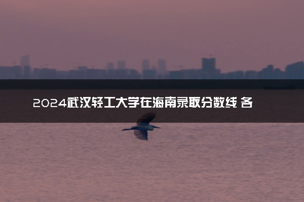 2024武汉轻工大学在海南录取分数线 各专业分数及位次