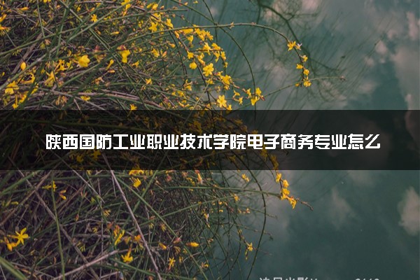 陕西国防工业职业技术学院电子商务专业怎么样 录取分数线多少