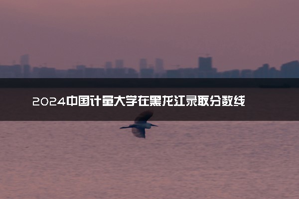 2024中国计量大学在黑龙江录取分数线 各专业分数及位次