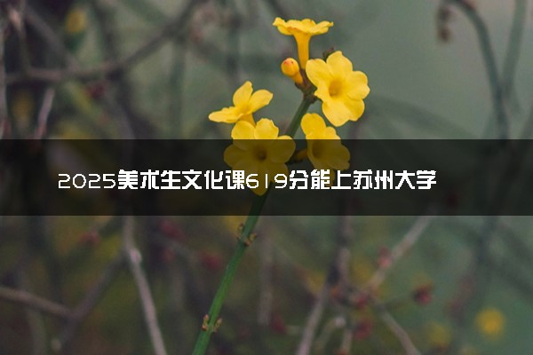 2025美术生文化课619分能上苏州大学吗