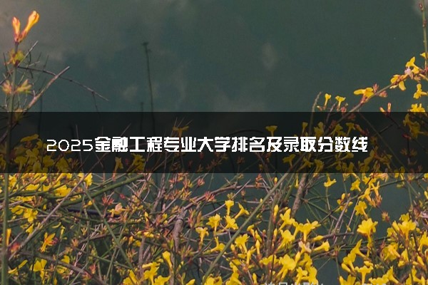 2025金融工程专业大学排名及录取分数线