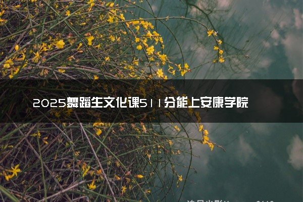 2025舞蹈生文化课511分能上安康学院吗