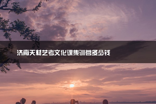 济南天材艺考文化课集训营多少钱
