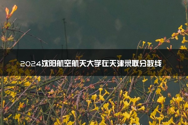 2024沈阳航空航天大学在天津录取分数线 各专业分数及位次