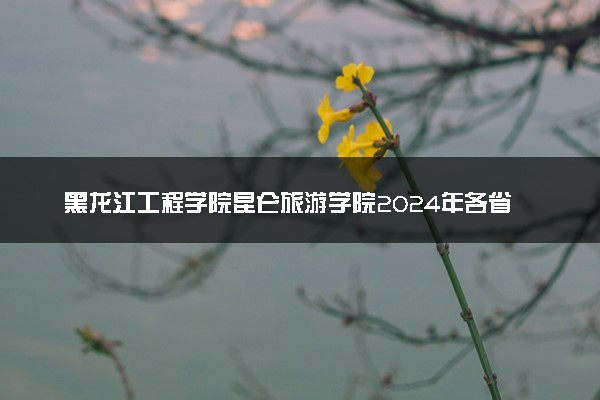 黑龙江工程学院昆仑旅游学院2024年各省录取分数线 多少分能考上