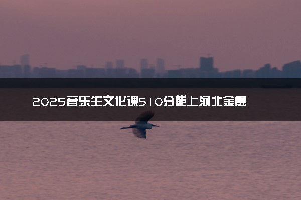 2025音乐生文化课510分能上河北金融学院吗