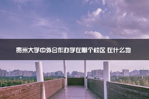 贵州大学中外合作办学在哪个校区 在什么地方