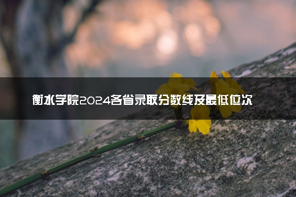衡水学院2024各省录取分数线及最低位次是多少