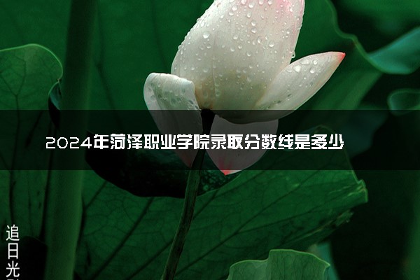 2024年菏泽职业学院录取分数线是多少 各省最低分数线及位次