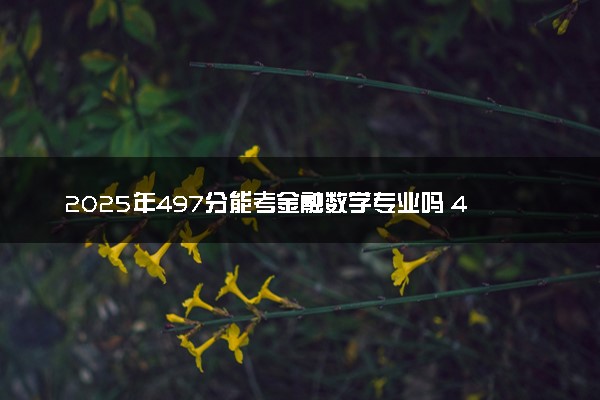 2025年497分能考金融数学专业吗 497分金融数学专业大学推荐