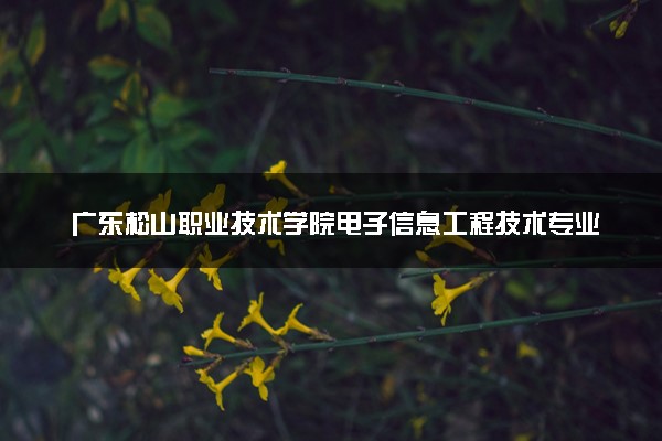 广东松山职业技术学院电子信息工程技术专业怎么样 录取分数线多少