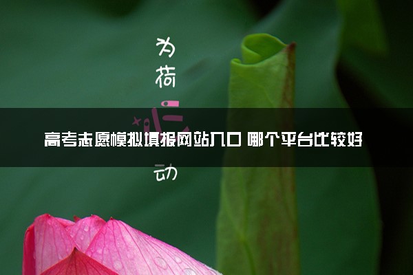 高考志愿模拟填报网站入口 哪个平台比较好