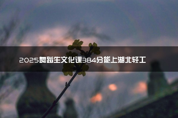 2025舞蹈生文化课384分能上湖北轻工职业技术学院吗
