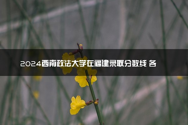 2024西南政法大学在福建录取分数线 各专业分数及位次