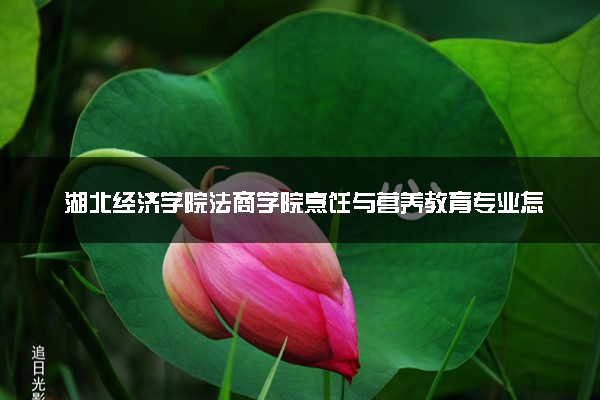湖北经济学院法商学院烹饪与营养教育专业怎么样 录取分数线多少