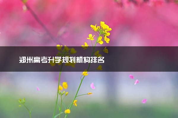 郑州高考升学规划机构排名