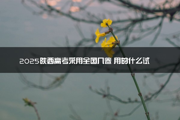 2025陕西高考采用全国几卷 用的什么试卷