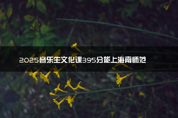 2025音乐生文化课395分能上海南师范大学吗