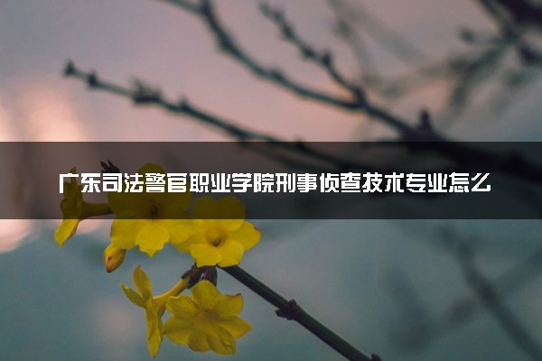 广东司法警官职业学院刑事侦查技术专业怎么样 录取分数线多少
