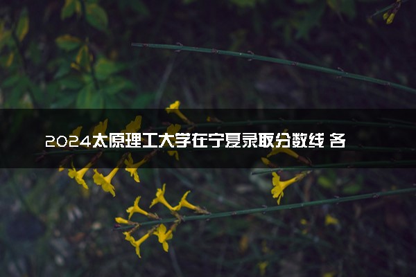 2024太原理工大学在宁夏录取分数线 各专业分数及位次