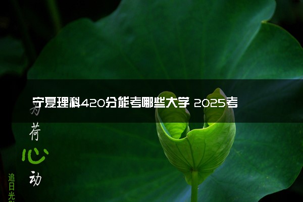 宁夏理科420分能考哪些大学 2025考生稳上的大学名单