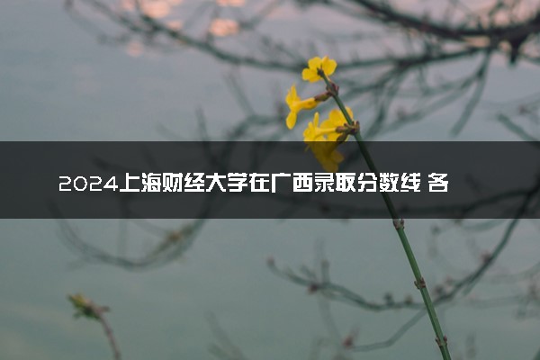2024上海财经大学在广西录取分数线 各专业分数及位次