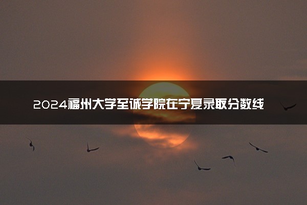 2024福州大学至诚学院在宁夏录取分数线 各专业分数及位次