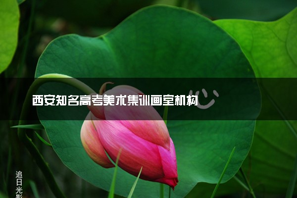 西安知名高考美术集训画室机构