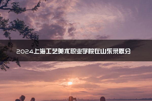 2024上海工艺美术职业学院在山东录取分数线 各专业分数及位次