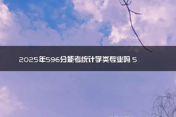 2025年596分能考统计学类专业吗 596分统计学类专业大学推荐
