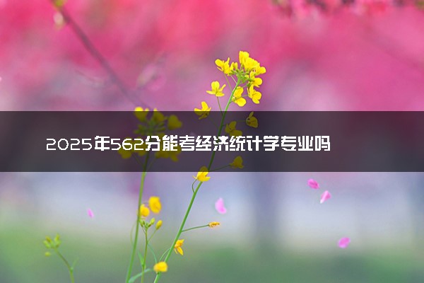 2025年562分能考经济统计学专业吗 562分经济统计学专业大学推荐