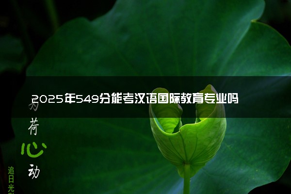 2025年549分能考汉语国际教育专业吗 549分汉语国际教育专业大学推荐