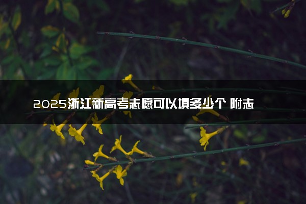 2025浙江新高考志愿可以填多少个 附志愿设置方案