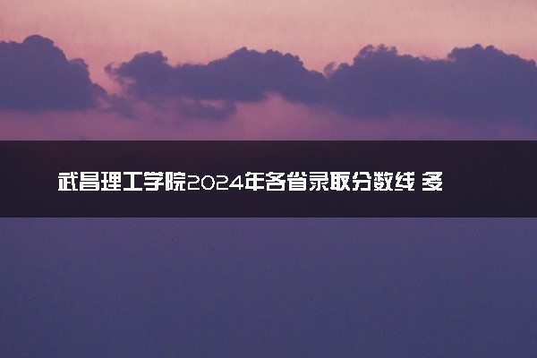 武昌理工学院2024年各省录取分数线 多少分能考上