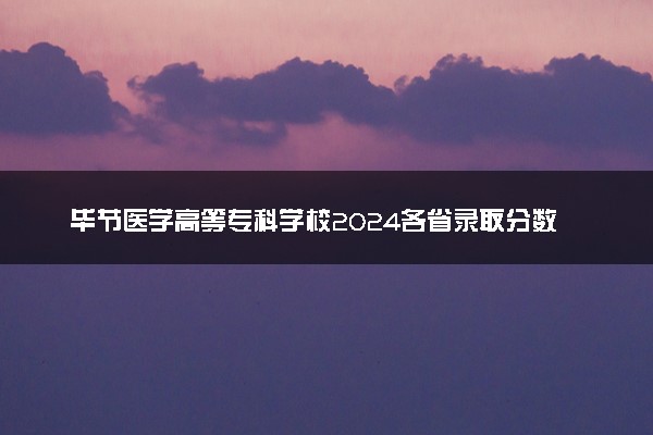 毕节医学高等专科学校2024各省录取分数线及最低位次是多少