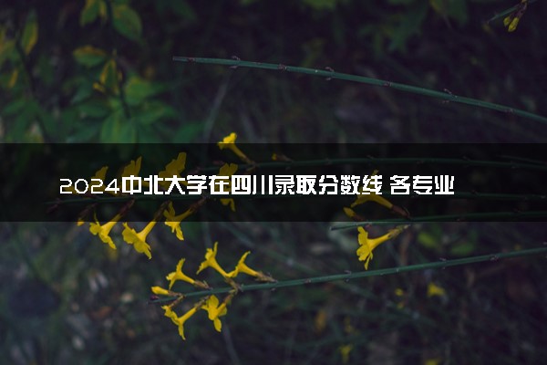 2024中北大学在四川录取分数线 各专业分数及位次
