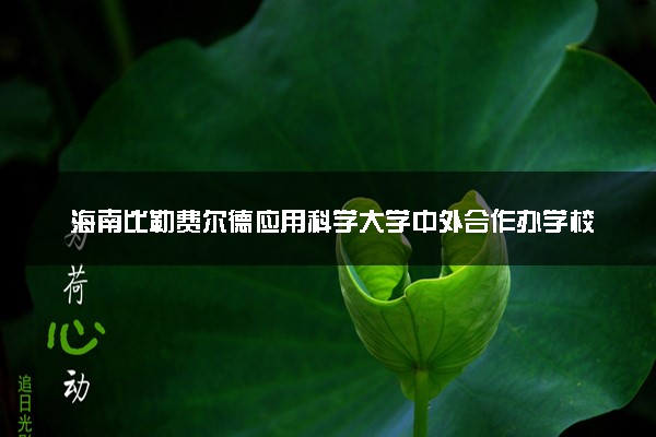 海南比勒费尔德应用科学大学中外合作办学校区在哪