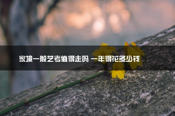 家境一般艺考值得走吗 一年得花多少钱