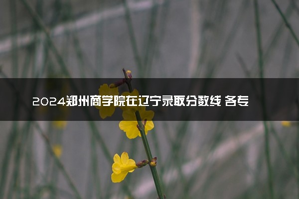 2024郑州商学院在辽宁录取分数线 各专业分数及位次