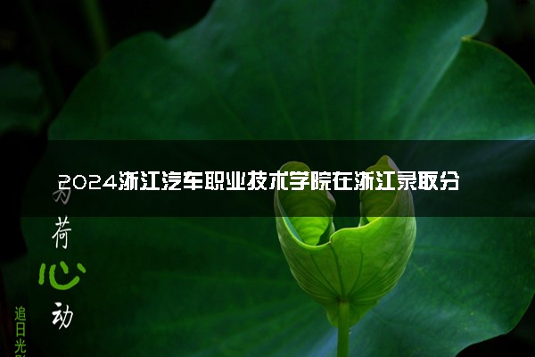 2024浙江汽车职业技术学院在浙江录取分数线 各专业分数及位次