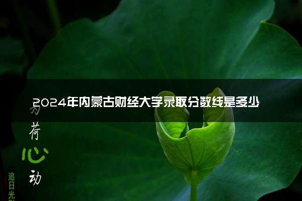 2024年内蒙古财经大学录取分数线是多少 各省最低分数线及位次