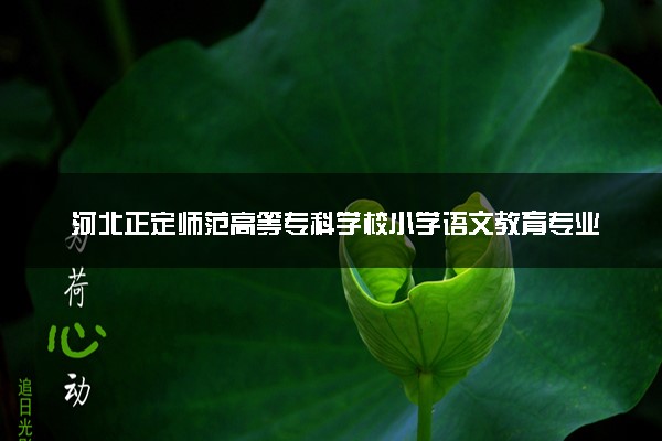 河北正定师范高等专科学校小学语文教育专业怎么样 录取分数线多少
