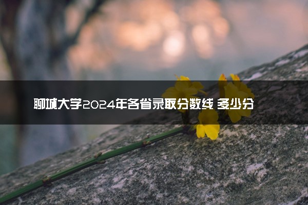 聊城大学2024年各省录取分数线 多少分能考上