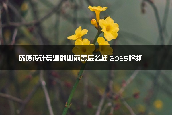 环境设计专业就业前景怎么样 2025好找工作吗