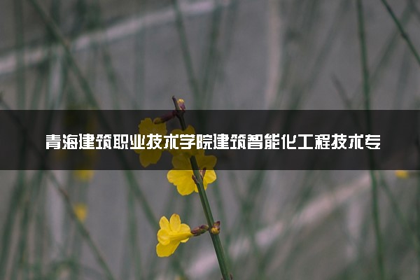 青海建筑职业技术学院建筑智能化工程技术专业怎么样 录取分数线多少