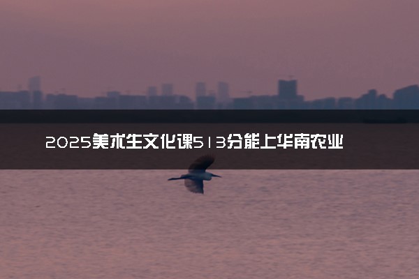 2025美术生文化课513分能上华南农业大学吗