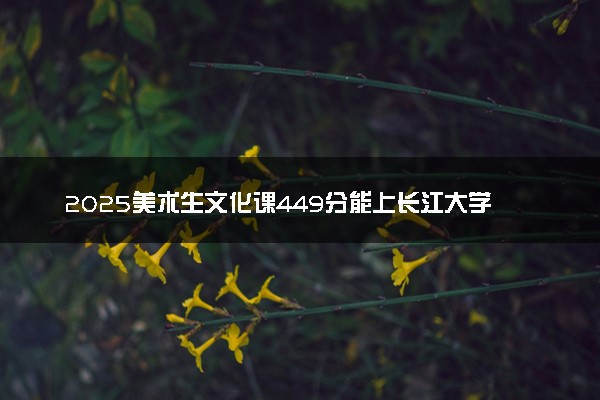 2025美术生文化课449分能上长江大学文理学院吗