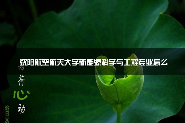 沈阳航空航天大学新能源科学与工程专业怎么样 录取分数线多少