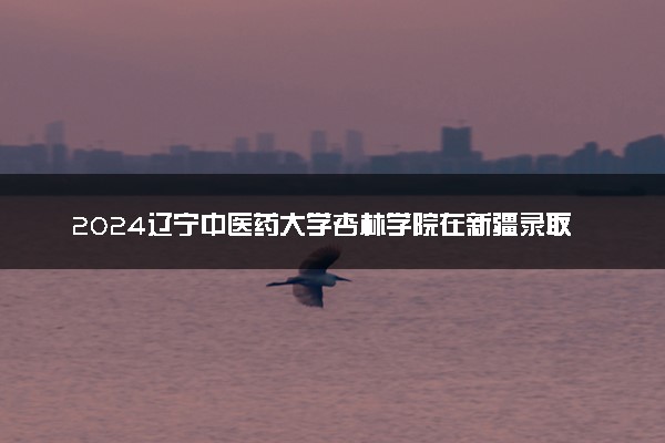 2024辽宁中医药大学杏林学院在新疆录取分数线 各专业分数及位次