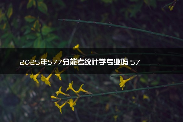 2025年577分能考统计学专业吗 577分统计学专业大学推荐